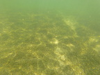 G0020465